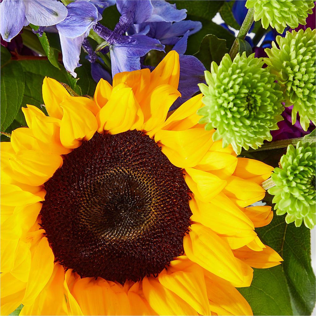Catching Rays Bouquet –  Super Savers, Lincoln NE