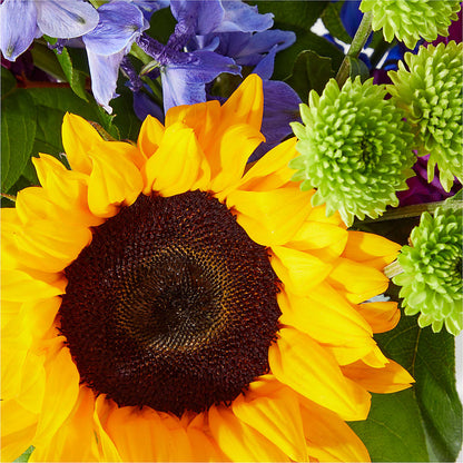 Catching Rays Bouquet –  Super Savers, Lincoln NE