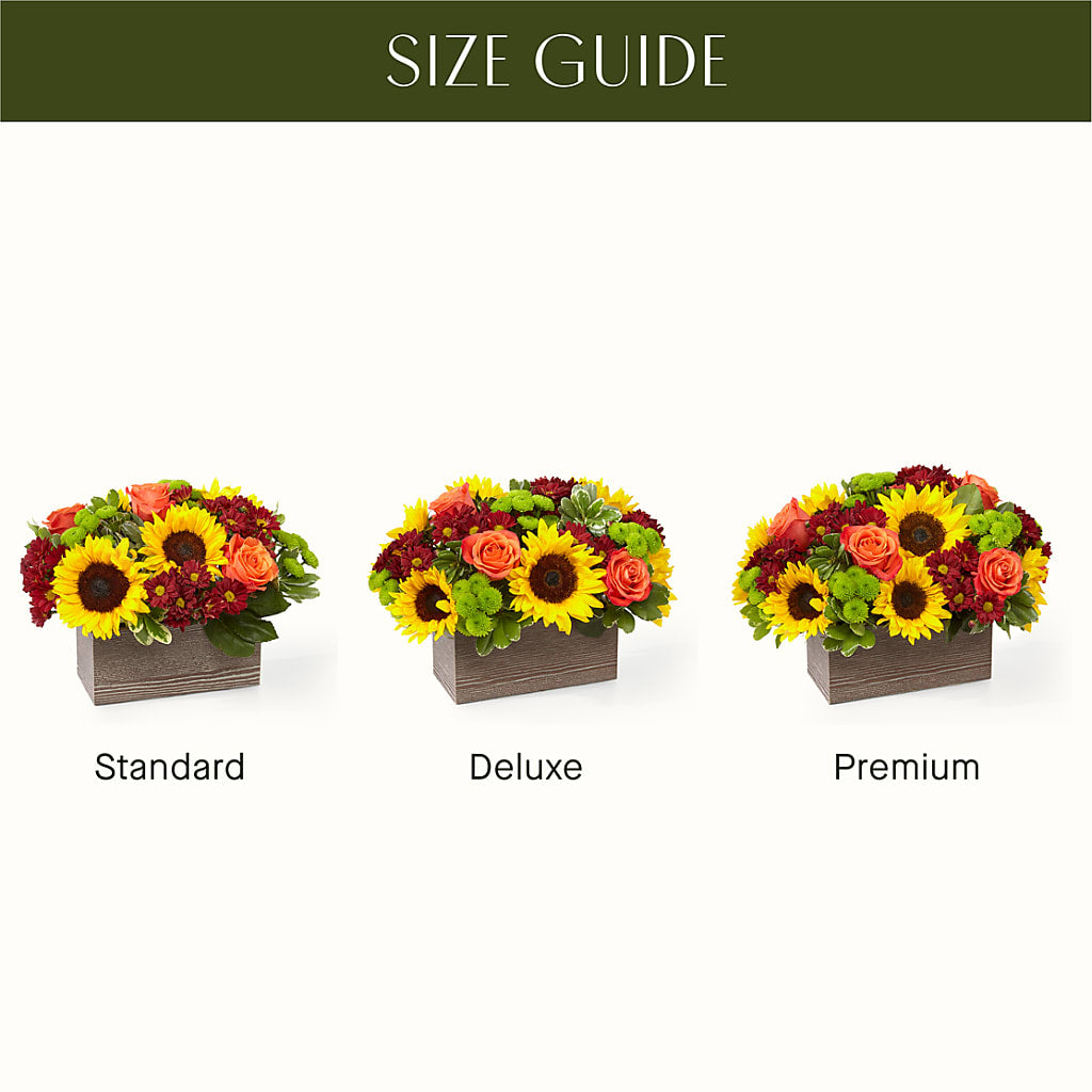 Happy Harvest Garden –  Super Savers, Lincoln NE
