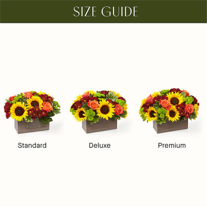 Happy Harvest Garden –  Super Savers, Lincoln NE