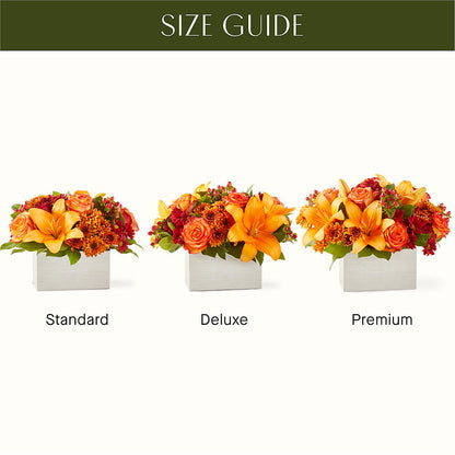 Backyard Bonfire Bouquet –  Super Savers, Lincoln NE