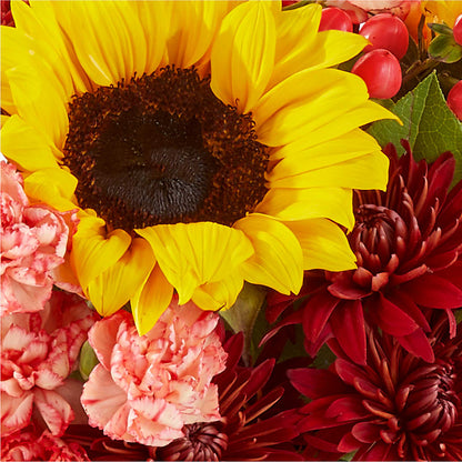 Fresh Cider Bouquet –  Super Savers, Lincoln NE