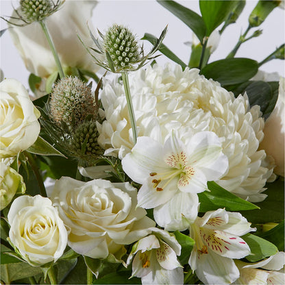 New Beginnings – A Florist Original –  Super Savers, Lincoln NE