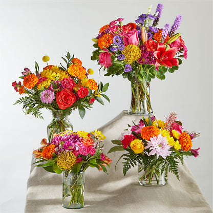 Feast of Color – A Florist Original –  Super Savers, Lincoln NE