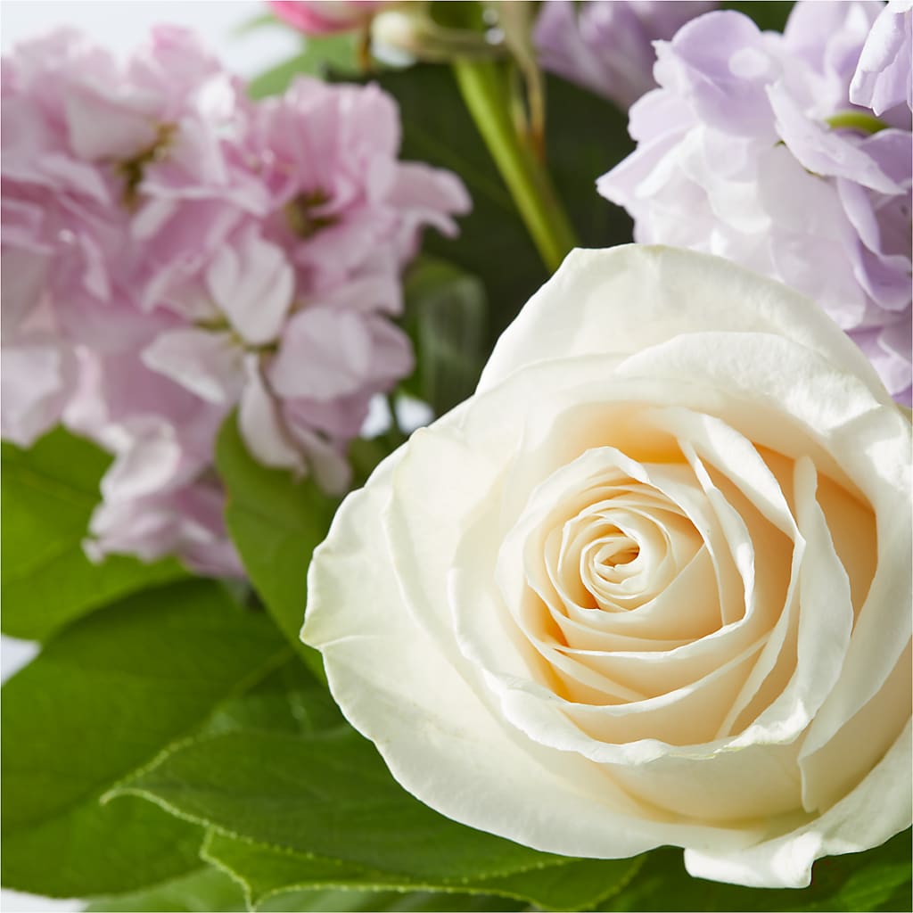 Springtime Spritz Bouquet –  Super Savers, Lincoln NE