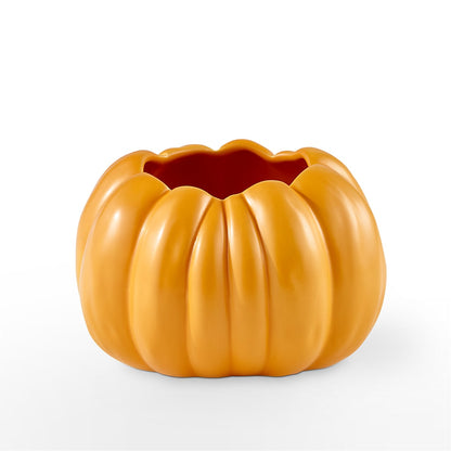 Pick of the Patch Pumpkin Bouquet –  Super Savers, Lincoln NE