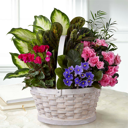 Peaceful Garden Planter –  Super Savers, Lincoln NE