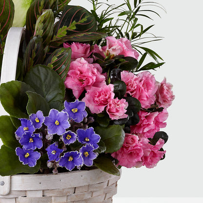 Peaceful Garden Planter –  Super Savers, Lincoln NE