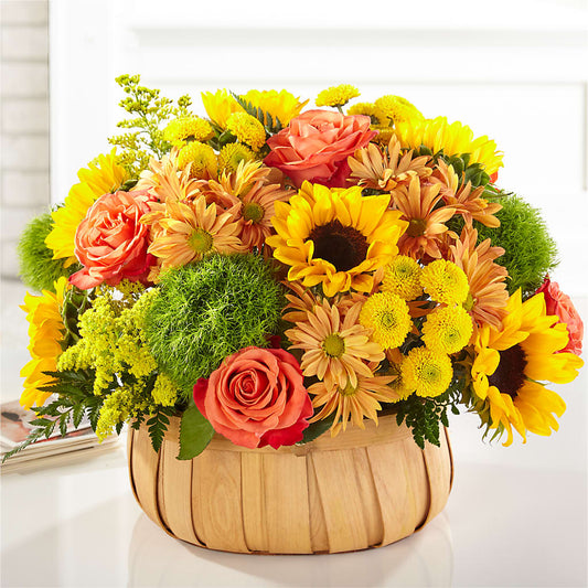 Harvest Sunflower Basket –  Super Savers, Lincoln NE