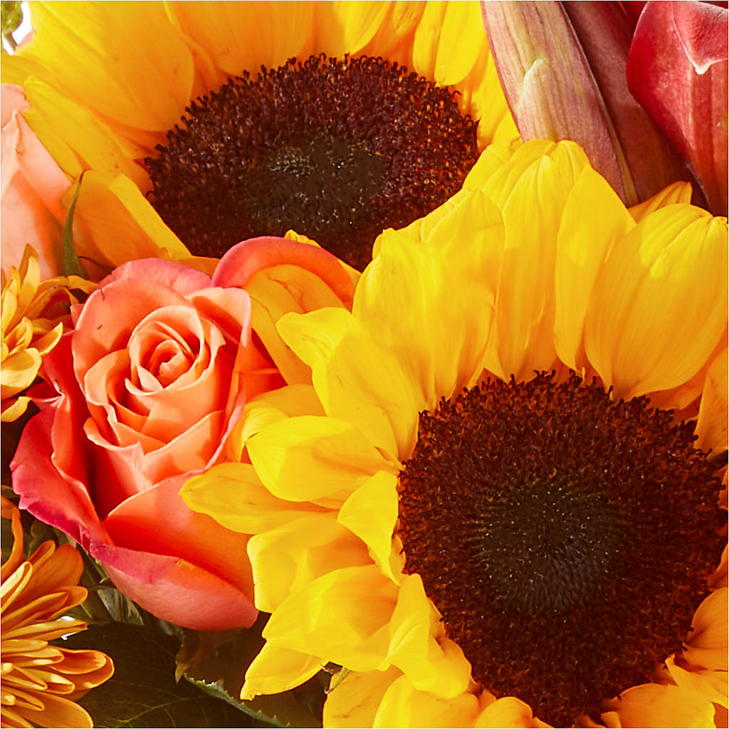 Acorn Lane Bouquet –  Super Savers, Lincoln NE