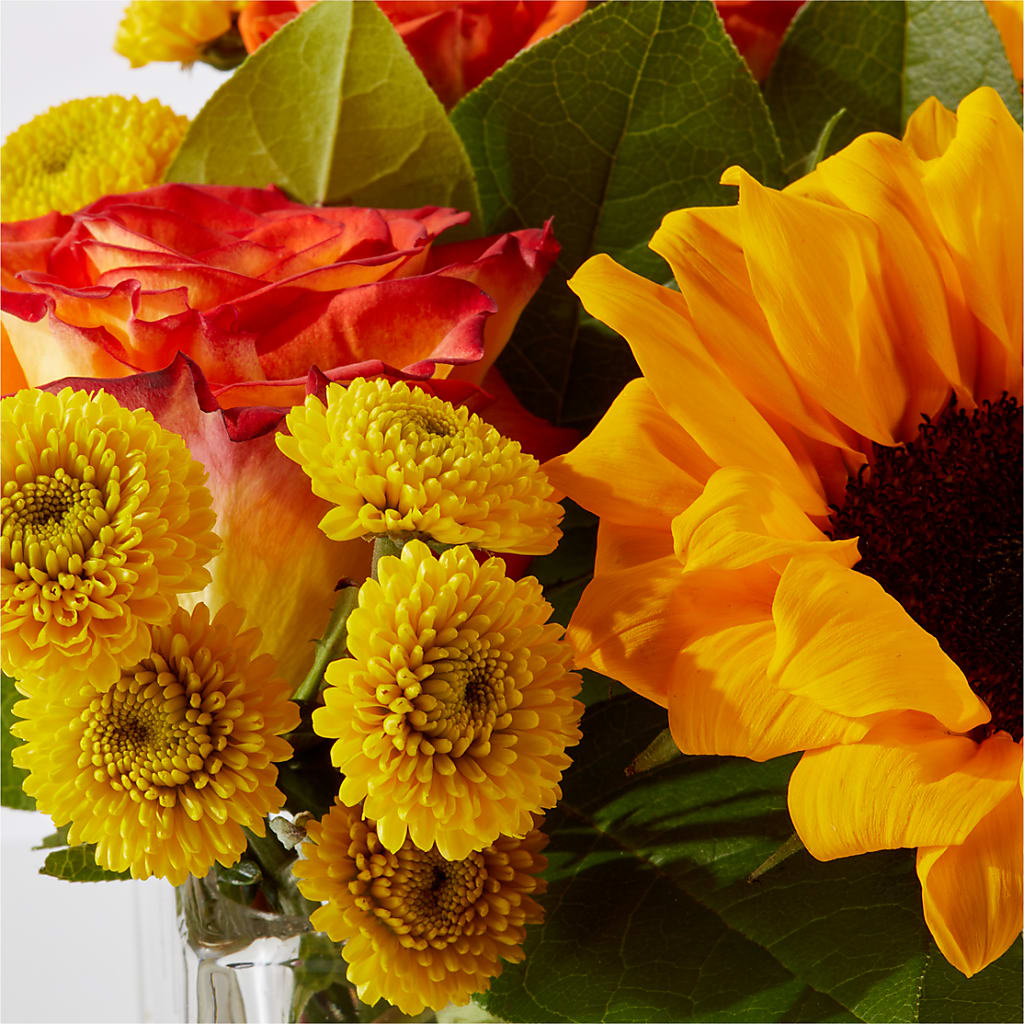 Picnic in the Park Bouquet –  Super Savers, Lincoln NE