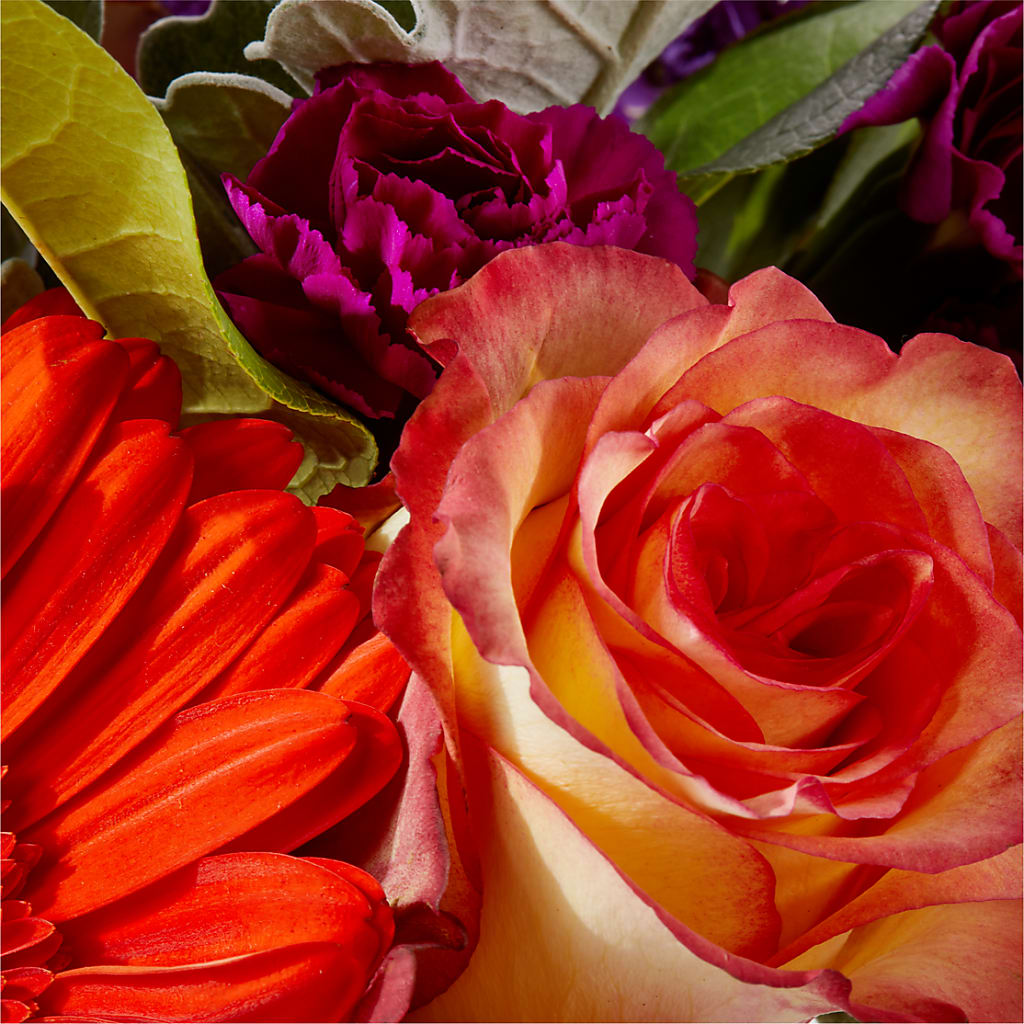 Sangria Bouquet –  Super Savers, Lincoln NE
