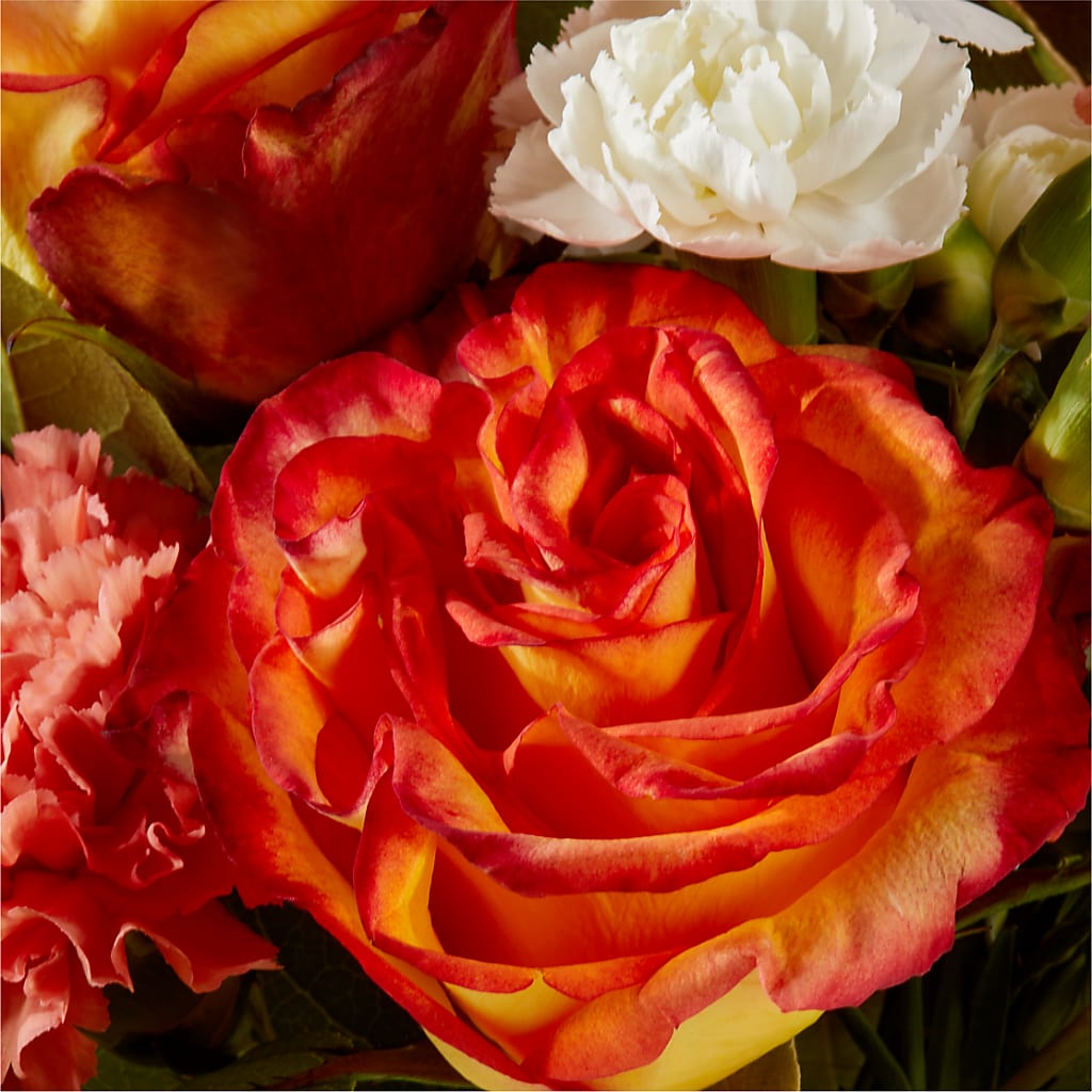 Apricot Glow Bouquet –  Super Savers, Lincoln NE