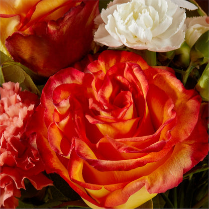 Apricot Glow Bouquet –  Super Savers, Lincoln NE