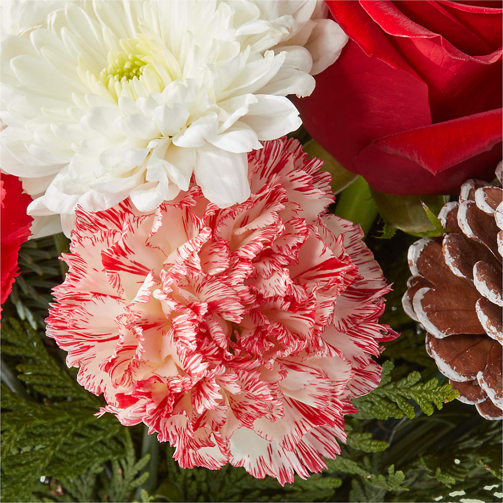 Candy Cane Lane Bouquet –  Super Savers, Lincoln NE