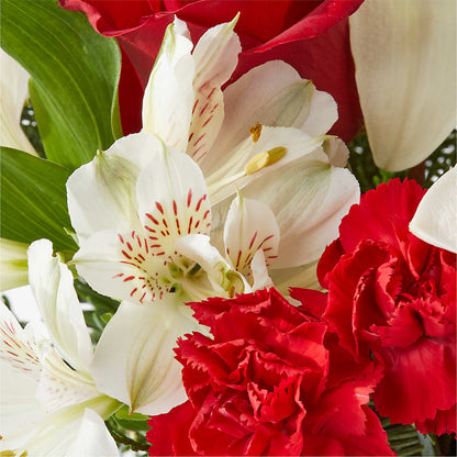 Holiday Season Bouquet –  Super Savers, Lincoln NE