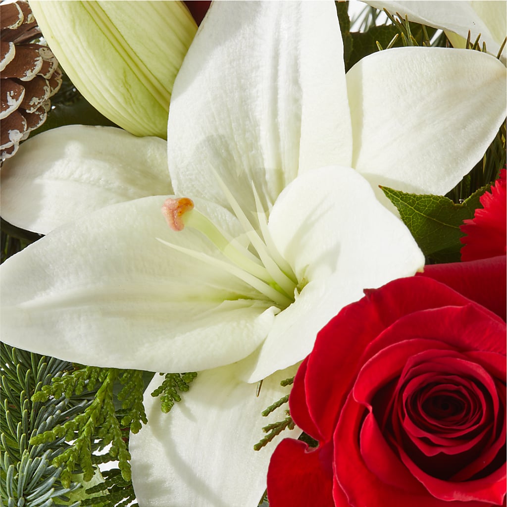 Oh So Jolly Bouquet –  Super Savers, Lincoln NE