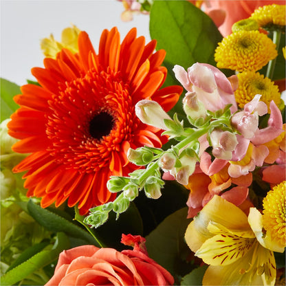 Autumn Sunshine Bouquet –  Super Savers, Lincoln NE