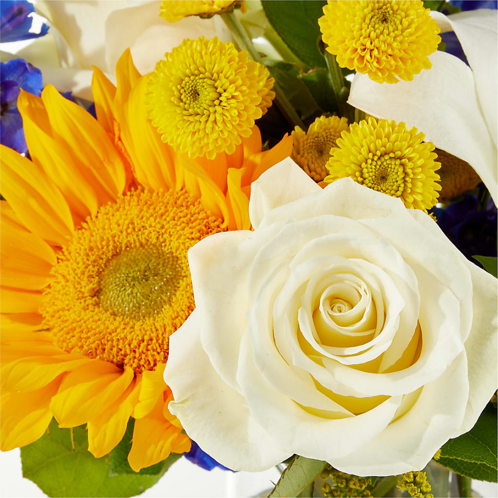 Stargazing Bouquet –  Super Savers, Lincoln NE