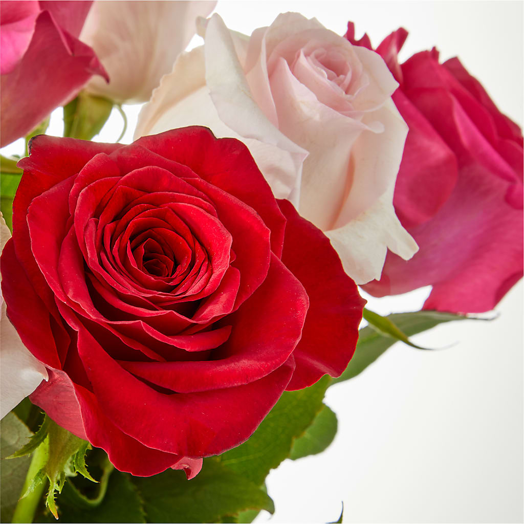 Charming Rose Bouquet –  Super Savers, Lincoln NE