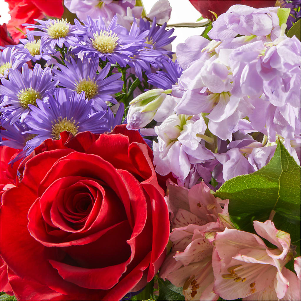 Your Majesty Bouquet –  Super Savers, Lincoln NE