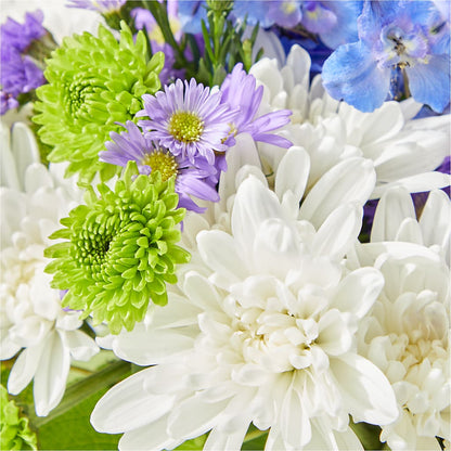 Genuine Gestures Bouquet –  Super Savers, Lincoln NE