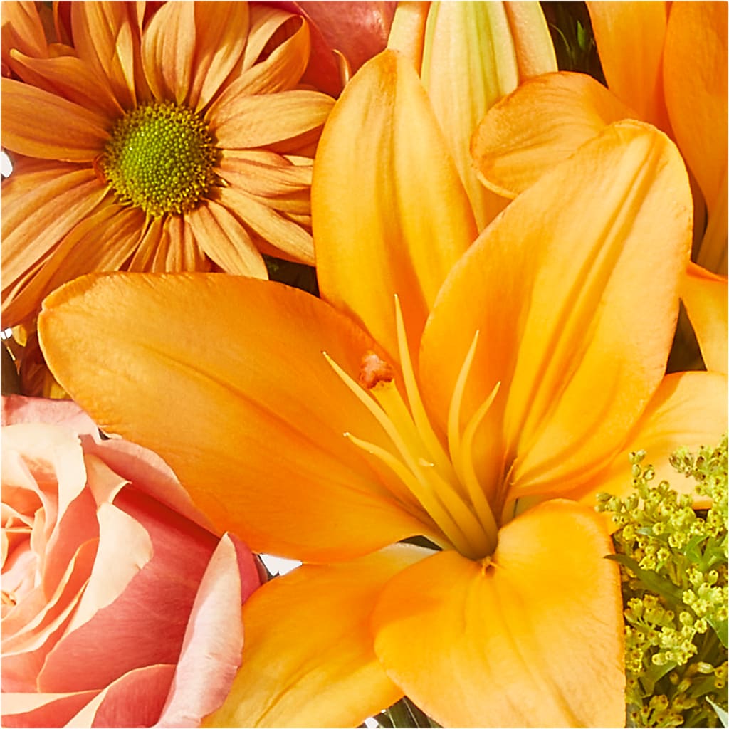 Harvest Hayride Bouquet –  Super Savers, Lincoln NE