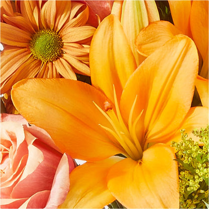 Harvest Hayride Bouquet –  Super Savers, Lincoln NE