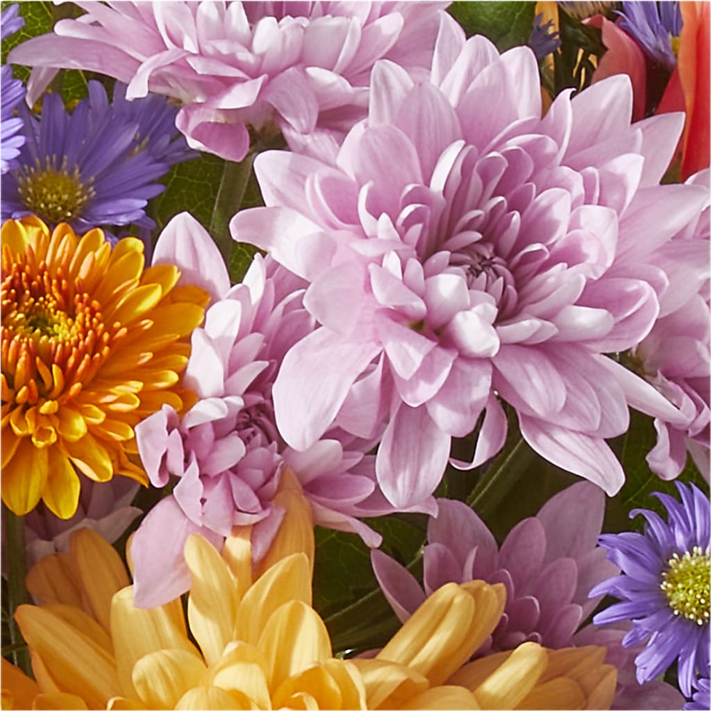 Countryside Bouquet –  Super Savers, Lincoln NE