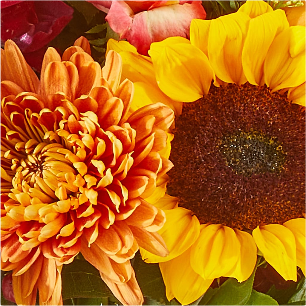 Seasons Change Bouquet –  Super Savers, Lincoln NE