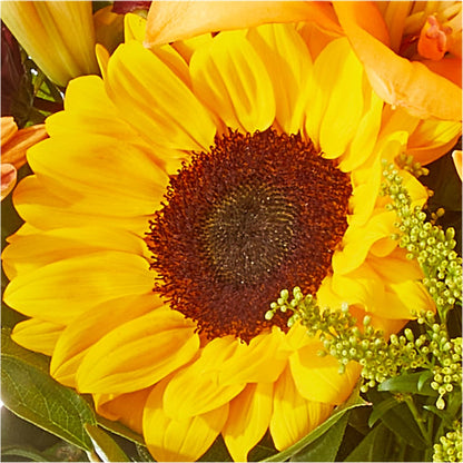 Seasons Change Bouquet –  Super Savers, Lincoln NE