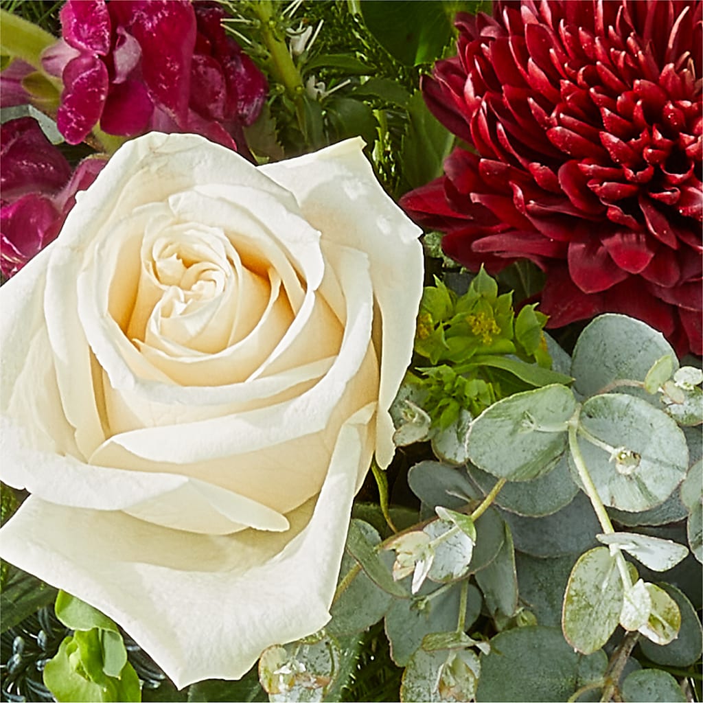 Cranberry Fizz Bouquet –  Super Savers, Lincoln NE