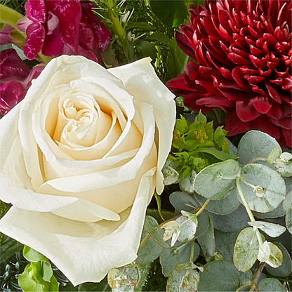 Cranberry Fizz Bouquet –  Super Savers, Lincoln NE