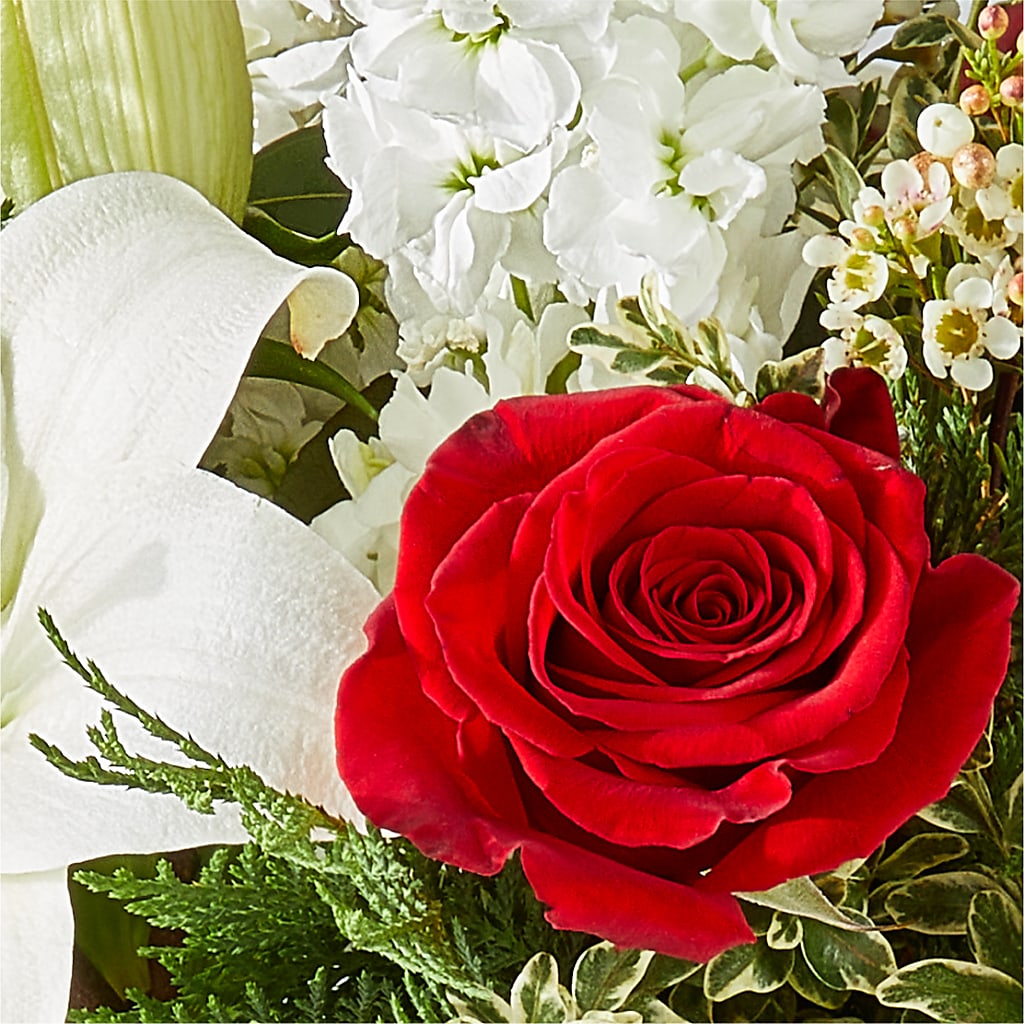 Twinkle Lights Bouquet –  Super Savers, Lincoln NE