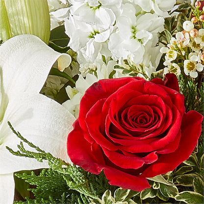 Twinkle Lights Bouquet –  Super Savers, Lincoln NE