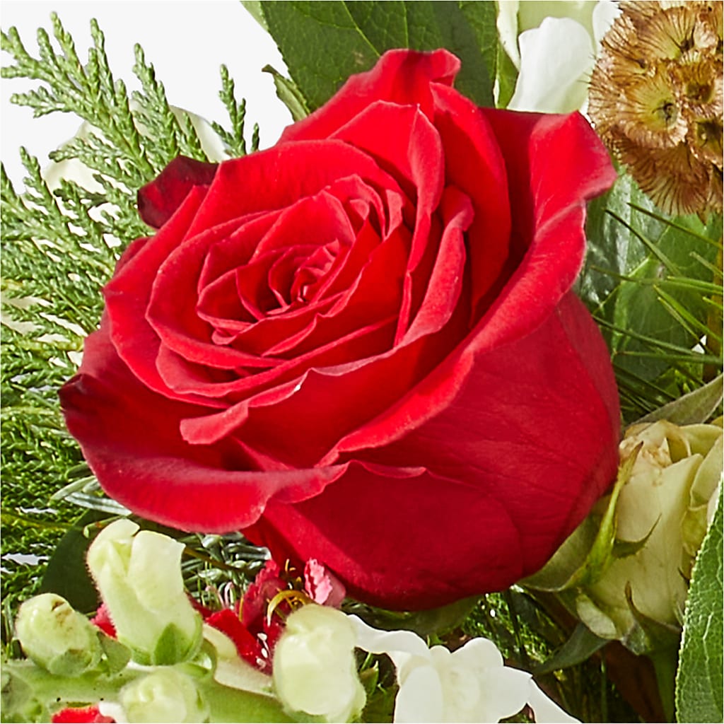 Deck the Halls Bouquet –  Super Savers, Lincoln NE