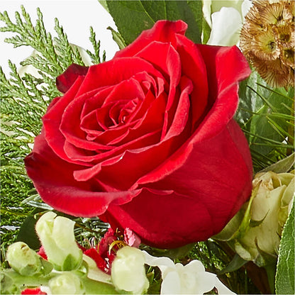 Deck the Halls Bouquet –  Super Savers, Lincoln NE