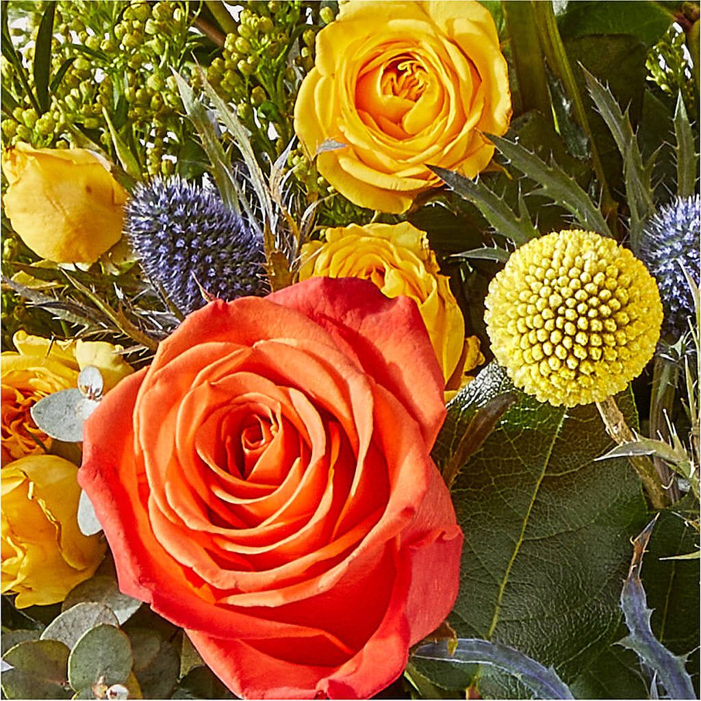 Disco Bouquet –  Super Savers, Lincoln NE
