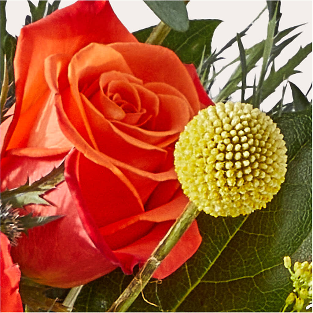Disco Bouquet –  Super Savers, Lincoln NE