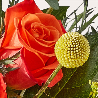 Disco Bouquet –  Super Savers, Lincoln NE