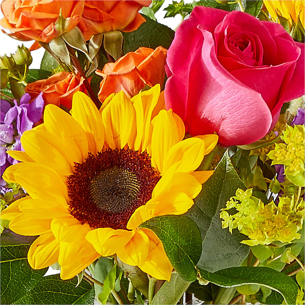 Vibrant Greetings Bouquet –  Super Savers, Lincoln NE