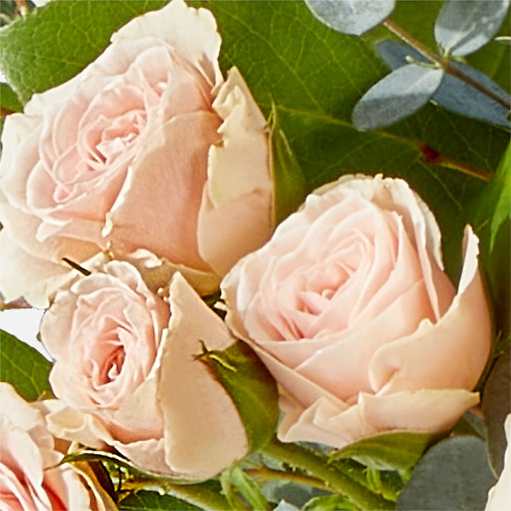 Inspired Bouquet –  Super Savers, Lincoln NE