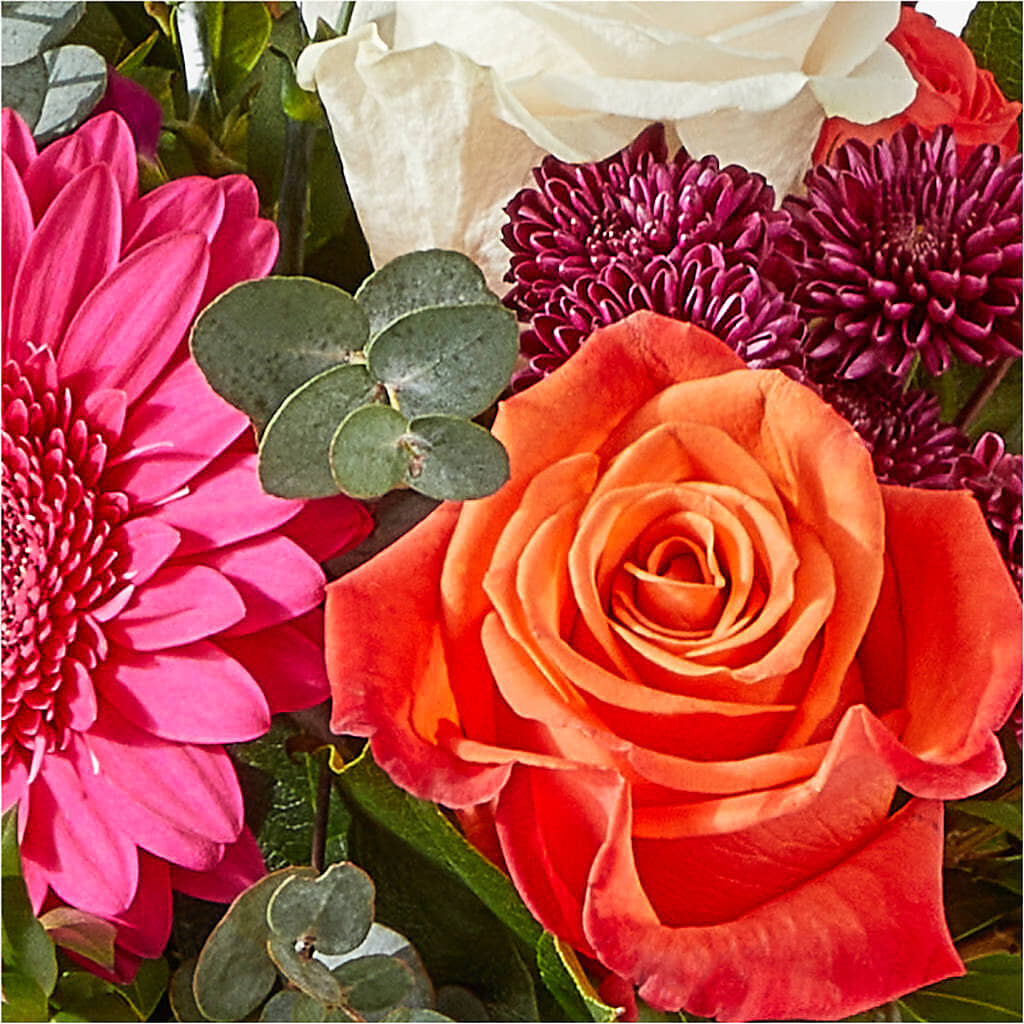 Smell the Roses Bouquet –  Super Savers, Lincoln NE