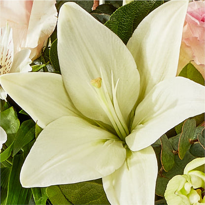 Ballet Slippers Bouquet –  Super Savers, Lincoln NE