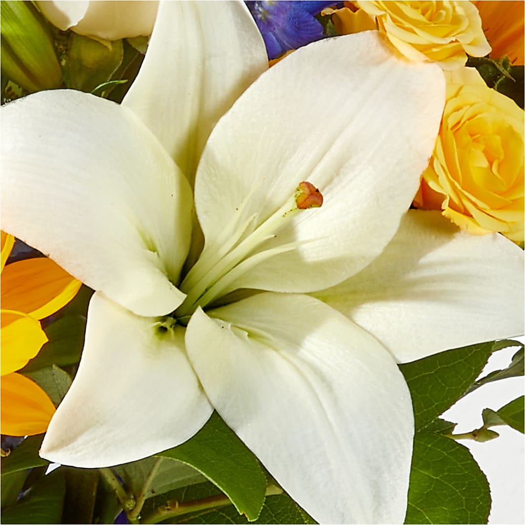 Wonderfully Sunny Bouquet –  Super Savers, Lincoln NE