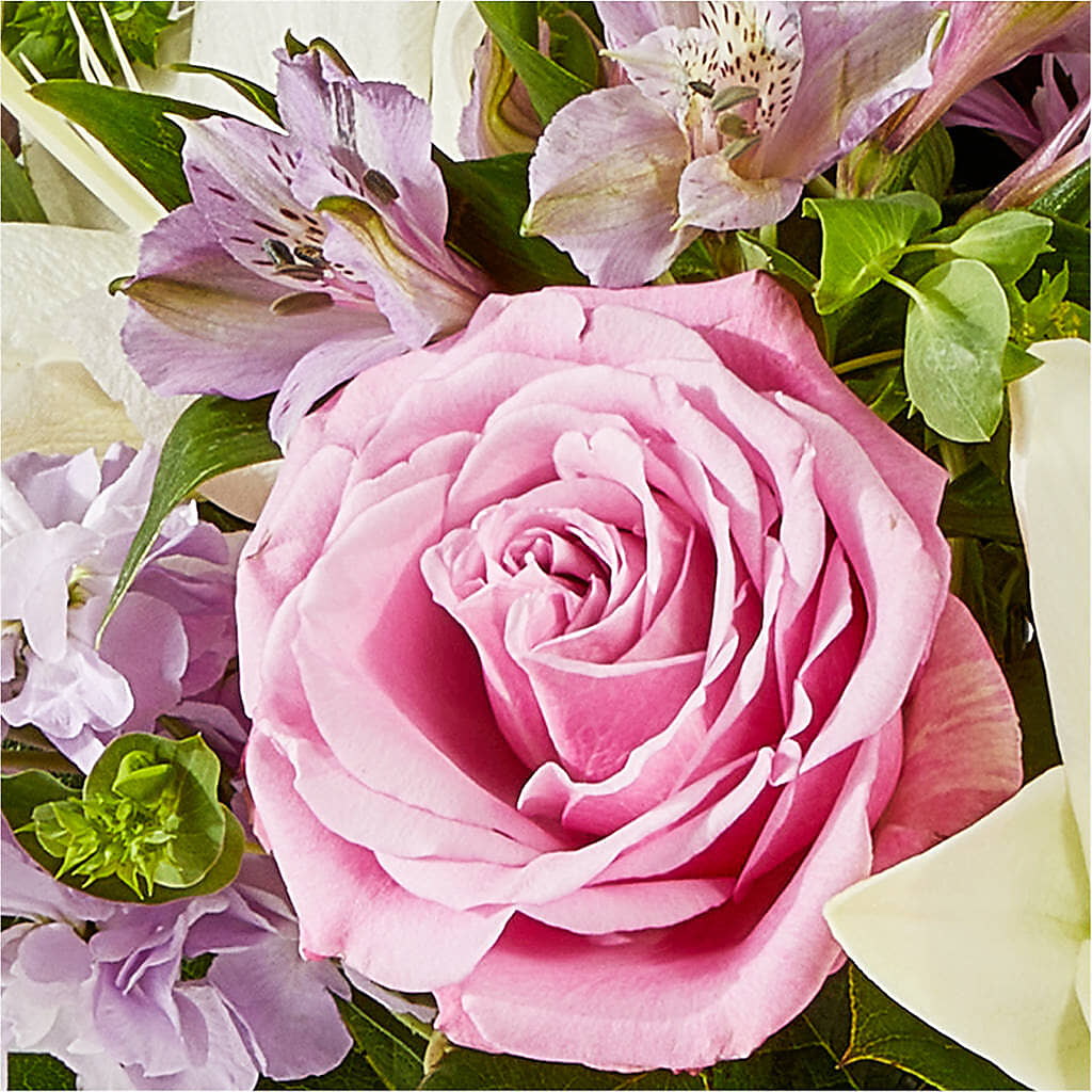 Daydreamer Bouquet –  Super Savers, Lincoln NE