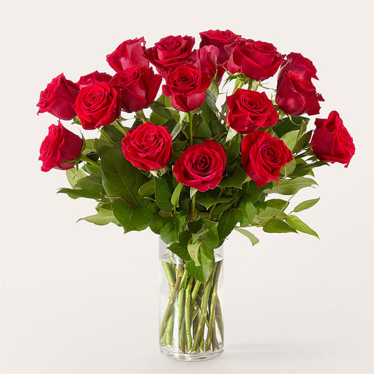 The One Red Rose Bouquet –  Super Savers, Lincoln NE