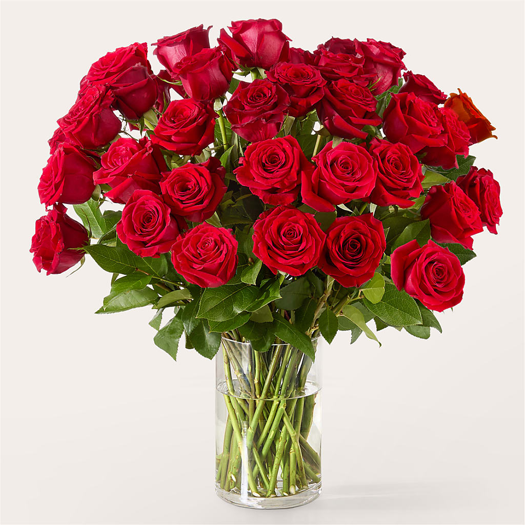 The One Red Rose Bouquet –  Super Savers, Lincoln NE