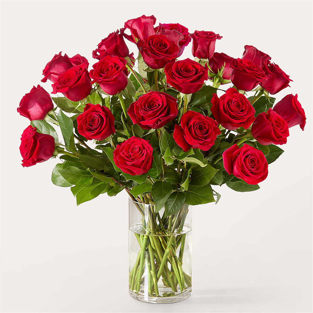The One Red Rose Bouquet –  Super Savers, Lincoln NE