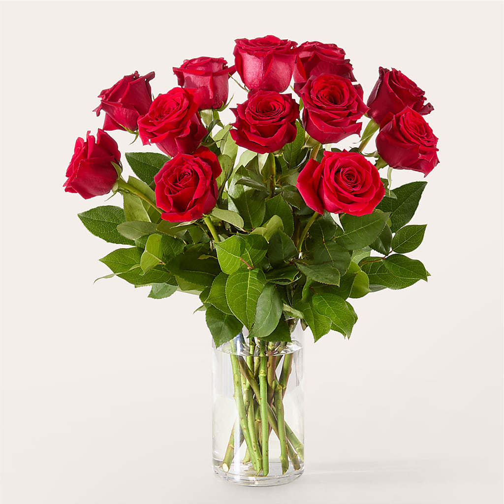 The One Red Rose Bouquet –  Super Savers, Lincoln NE